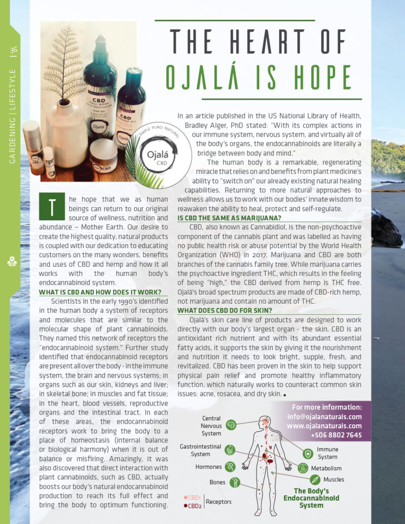 Ojala Naturals, CBD oil, Costa Rica