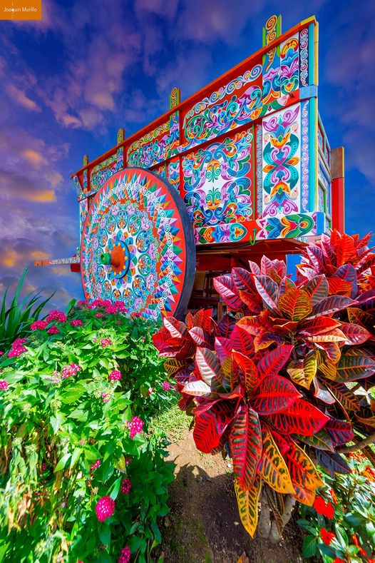 Costa Rican ox cart with decorative artistry - Photo by Joaquin Murillo